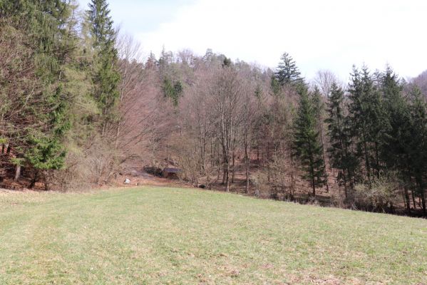 Kamenná Poruba, 14.4.2019
Malá Fatra, dolina Porubského potoka.
Klíčová slova: Kamenná Poruba Malá Fatra dolina Porubského potoka