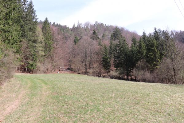 Kamenná Poruba, 14.4.2019
Malá Fatra, dolina Porubského potoka.
Keywords: Kamenná Poruba Malá Fatra dolina Porubského potoka