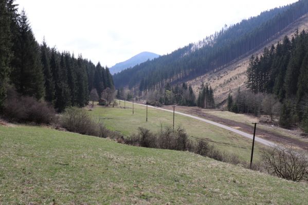 Rajec, 14.4.2019
Malá Fatra, dolina Porubského potoka.
Keywords: Rajec Malá Fatra Porubský potok