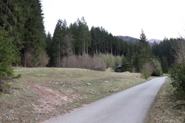 Rajec, 14.4.2019
Malá Fatra, dolina Porubského potoka. Oselná.
Mots-clés: Rajec Malá Fatra Porubský potok Oselná