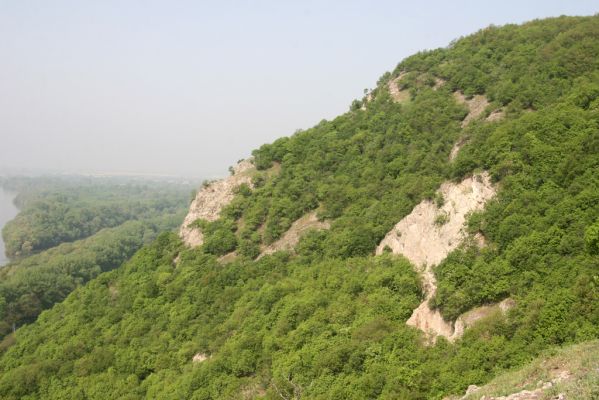 Kamenica nad Hronom, 1.5.2013
Kováčovské kopce. Skaly u Kováčova. 
Schlüsselwörter: Kamenica nad Hronom Kováčov Kováčovské kopce Skaly Vyšehradská brána Burda