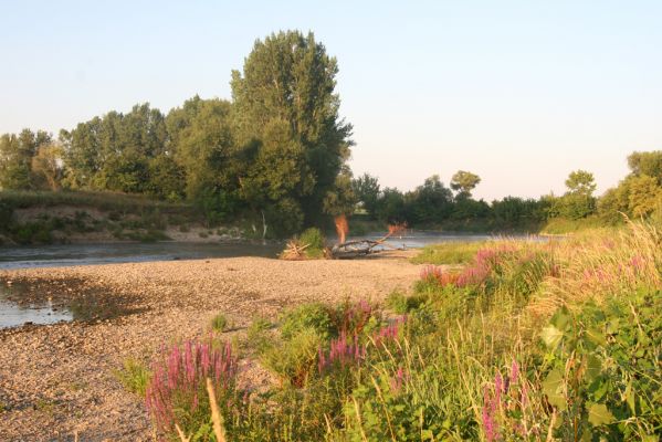 Kamenín, 15.7.2018
Meandry Hronu.
Schlüsselwörter: Kamenín Hron