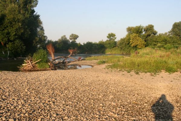 Kamenín, 15.7.2018
Meandry Hronu.
Schlüsselwörter: Kamenín Hron