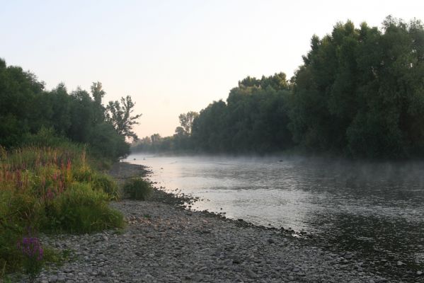 Kamenín, 15.7.2018
Ráno u Hronu.
Mots-clés: Kamenín Hron meandry