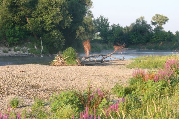 Kamenín, 15.7.2018
Meandry Hronu.
Schlüsselwörter: Kamenín Hron meandry