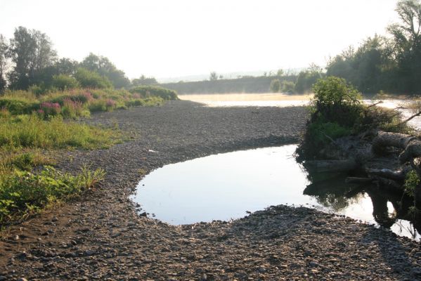 Kamenín, 15.7.2018
Meandry Hronu.
Schlüsselwörter: Kamenín Hron meandry