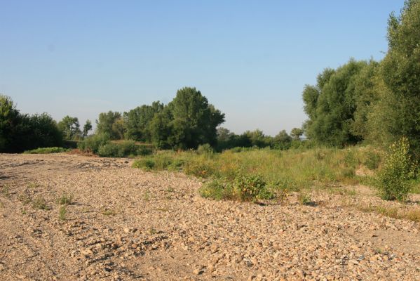 Kamenín, 15.7.2018
Meandry Hronu - stěrkoviště.
Klíčová slova: Kamenín Hron meandry