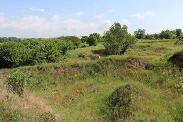 Kamenín, 5.6.2022
Pískovna u Pavlové.
Klíčová slova: Kamenín pískovna