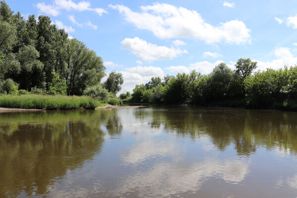 Kamenín, 5.6.2022
Meandry Hronu.
Klíčová slova: Kamenín Hron