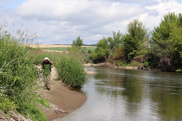 Kamenín, 5.6.2022
Meandry Hronu.
Klíčová slova: Kamenín Hron Čepelák