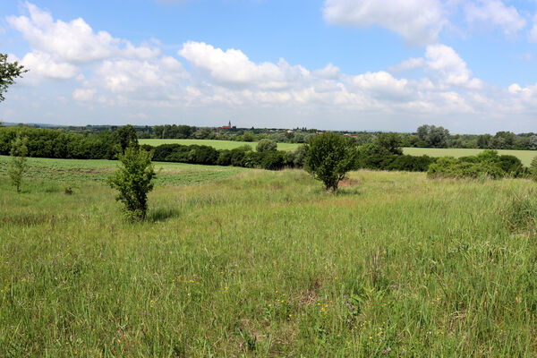 Kamenín, 5.6.2022
Pískovna u Pavlové.
Schlüsselwörter: Kamenín pískovna