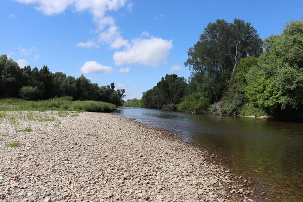 Kamenín, 5.6.2022
Meandry Hronu.
Schlüsselwörter: Kamenín Hron