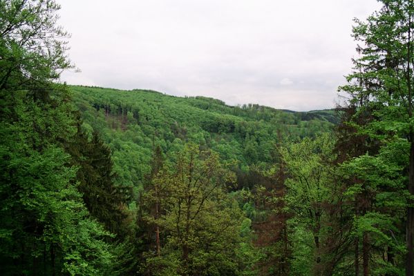 Klokočov, 4.5.2004
Pohled přes údolí k rezervaci Na Čermence.
Keywords: Klokočov Na Čermence