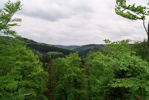 Kamenka, 4.5.2004
Pohled z rezervace Na Čermence k severu.
Klíčová slova: Kamenka Na Čermence