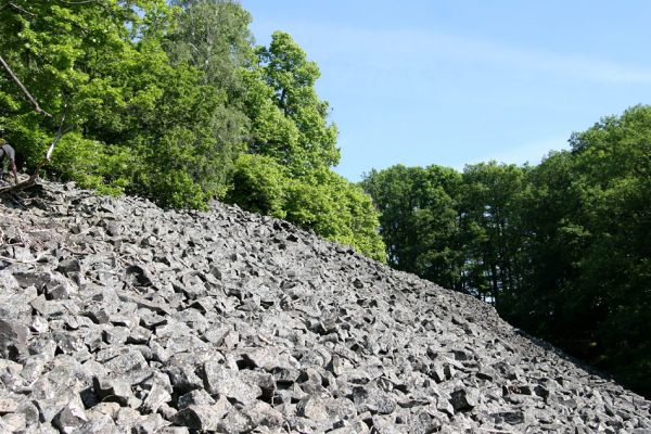 Kamýk, vrch Plešivec, 6.6.2010
Suťové pole u vrcholu.
Schlüsselwörter: Kamýk Plešivec Petr Brůha Idolus picipennis Dicronychus cinereus