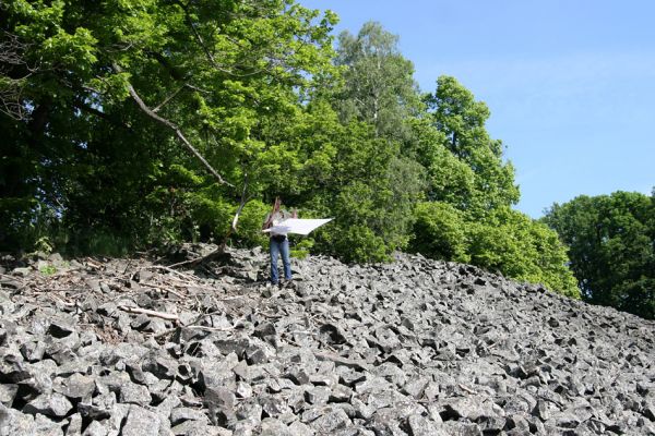 Kamýk, vrch Plešivec, 6.6.2010
Suťové pole u vrcholu.
Klíčová slova: Kamýk Plešivec Petr Brůha Idolus picipennis Dicronychus cinereus