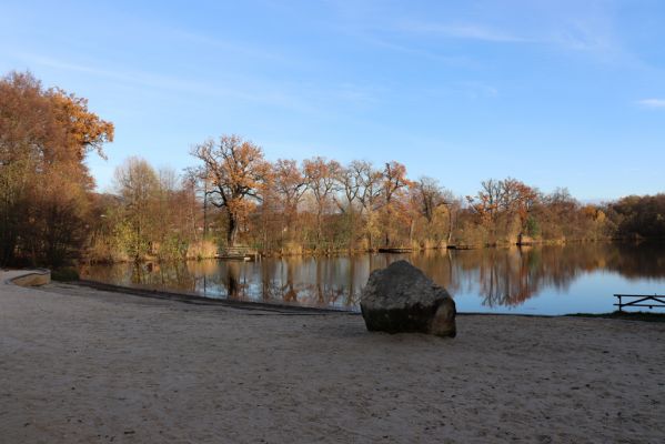 Karlovice, 18.11.2020
Sedmihorky, rybník Bažantník.
Klíčová slova: Karlovice Sedmihorky Bažantník dubová alej