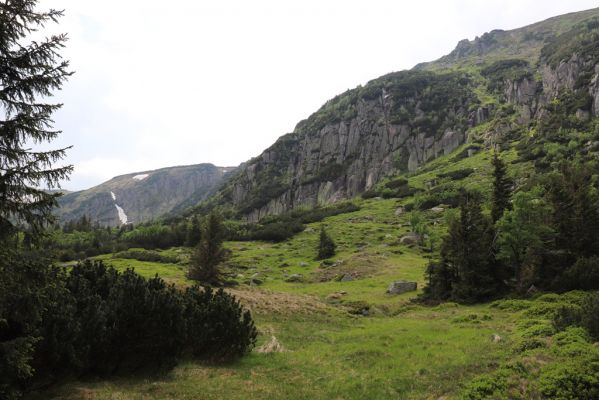 Karpacs, 16.6.2021 
Maly Staw, okolí Łomnice.
Klíčová slova: Krkonoše Karpacs Maly Staw okolí Łomnice