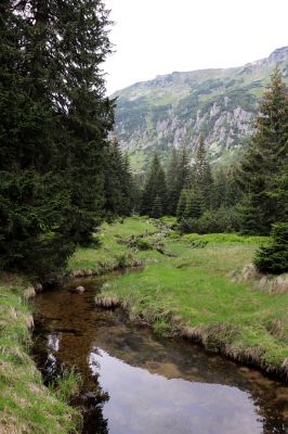 Karpacs, 16.6.2021 
Maly Staw, okolí Łomnice.
Keywords: Krkonoše Karpacs Maly Staw okolí Łomnice