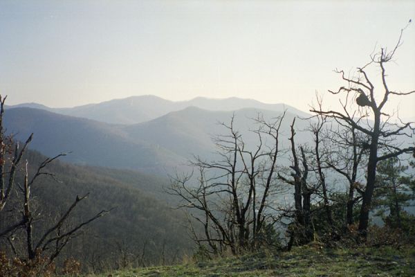 Hodruša-Hámre, 31.3.2002
Vrchy - Kašivárová.



Klíčová slova: Hodruša-Hámre Vrchy Kašivárová Kojatín Drastavica