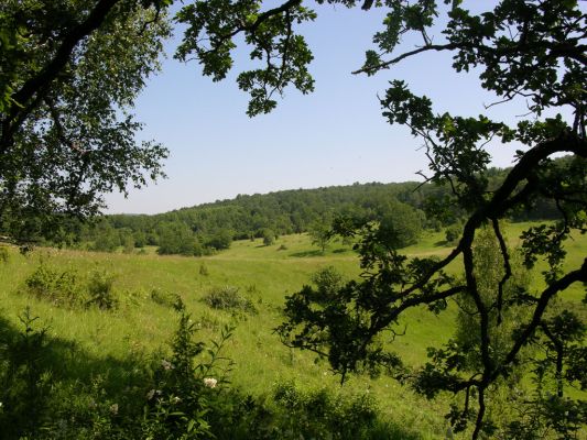 Silická planina - Kečovo, 9.6.2000
Kečovské louky - biotop kovaříka Athous silicensis.
Mots-clés: Silická planina Kečovo Kečovské louky Athous silicensis