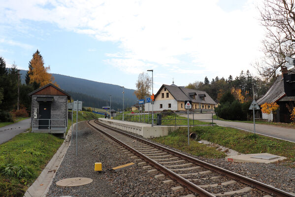 Ostružná, 18.10.2022
Ramzová - železniční zastávka.
Keywords: Hrubý Jeseník Ostružná Ramzová Phloeostichus denticollis