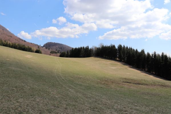 Kľačno, 8.4.2019
Malá Fatra, Fačkovské sedlo, louka u pramenů Nitry.
Klíčová slova: Kľačno Fačkovské sedlo