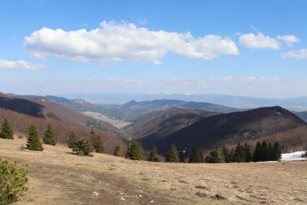 Kľačno, 8.4.2019
Malá Fatra, pohled z vrchu Reváň na východ.
Schlüsselwörter: Kľačno vrch Reváň