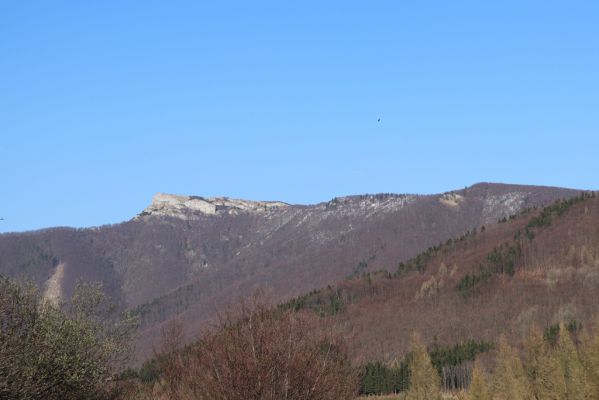 Fačkov, 8.4.2019
Malá Fatra, pohled na Kľak z Fačkovského sedla. 
Schlüsselwörter: Fačkov Malá Fatra vrch Kľak Fačkovské sedlo