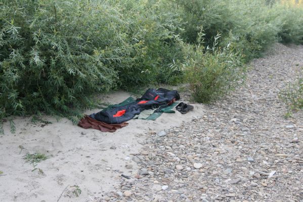 Kladeruby, 19.7.2017
Meandry Bečvy - písčitý a štěrkový náplav. 
Mots-clés: Kladeruby řeka Bečva Adrastus circassicus pallens rachifer Betarmon bisbimaculatus Negastrius pulchellus Zorochros quadriguttatus