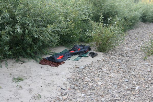 Kladeruby, 19.7.2017
Meandry Bečvy - písčitý a štěrkový náplav. 
Keywords: Kladeruby řeka Bečva Adrastus circassicus pallens rachifer Betarmon bisbimaculatus Negastrius pulchellus Zorochros quadriguttatus