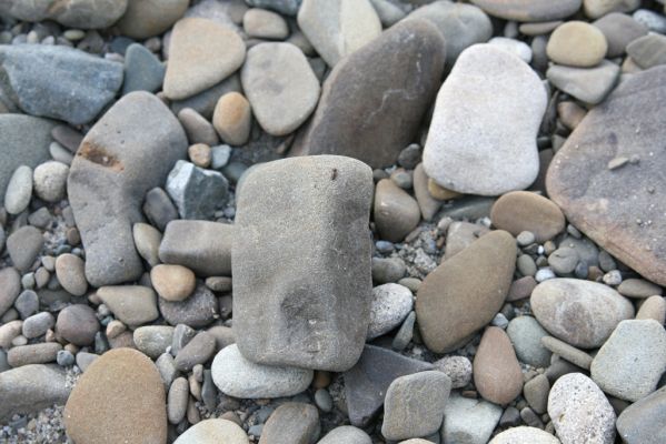 Kladeruby, 19.7.2017
Meandry Bečvy. Kovařík Adrastus circassicus.
Klíčová slova: Kladeruby řeka Bečva Adrastus circassicus