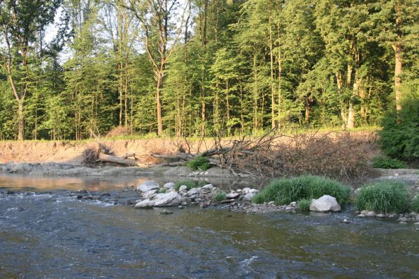 Kladeruby, 19.7.2017
Meandry Bečvy.
Klíčová slova: Kladeruby řeka Bečva