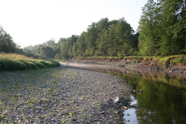 Kladeruby, 19.7.2017
Meandry Bečvy.
Keywords: Kladeruby řeka Bečva