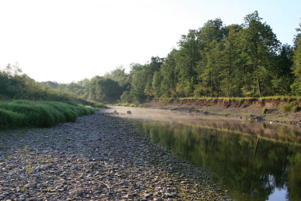 Kladeruby, 19.7.2017
Meandry Bečvy.
Klíčová slova: Kladeruby řeka Bečva