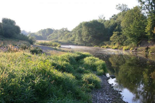 Kladeruby, 19.7.2017
Meandry Bečvy.
Schlüsselwörter: Kladeruby řeka Bečva