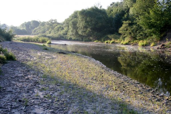 Kladeruby, 19.7.2017
Meandry Bečvy.
Schlüsselwörter: Kladeruby řeka Bečva