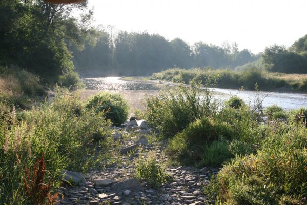 Kladeruby, 19.7.2017
Meandry Bečvy.
Klíčová slova: Kladeruby řeka Bečva