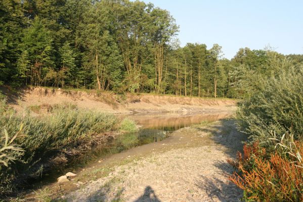 Kladeruby, 19.7.2017
Meandry Bečvy.
Klíčová slova: Kladeruby řeka Bečva