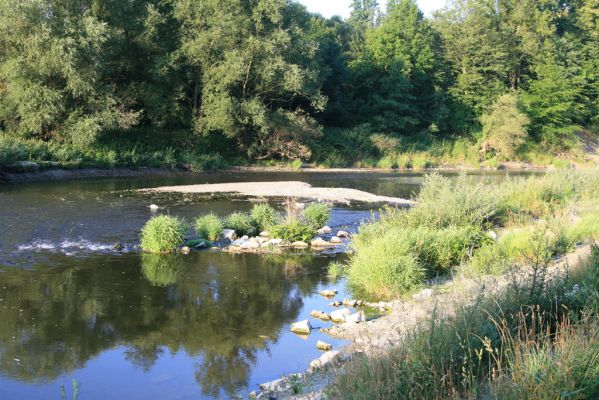 Kladeruby, 19.7.2017
Meandry Bečvy.
Keywords: Kladeruby řeka Bečva