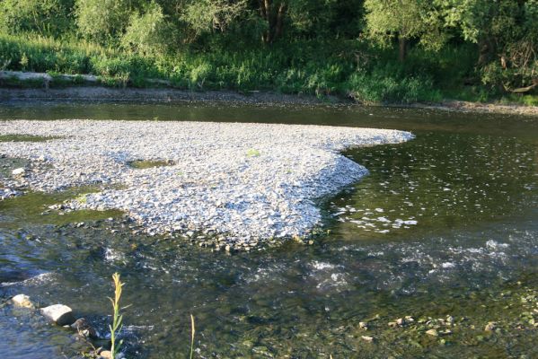 Kladeruby, 19.7.2017
Meandry Bečvy.
Klíčová slova: Kladeruby řeka Bečva