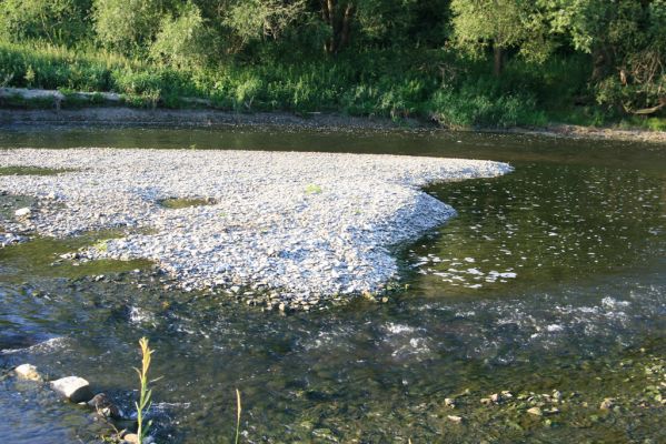 Kladeruby, 19.7.2017
Meandry Bečvy.
Schlüsselwörter: Kladeruby řeka Bečva