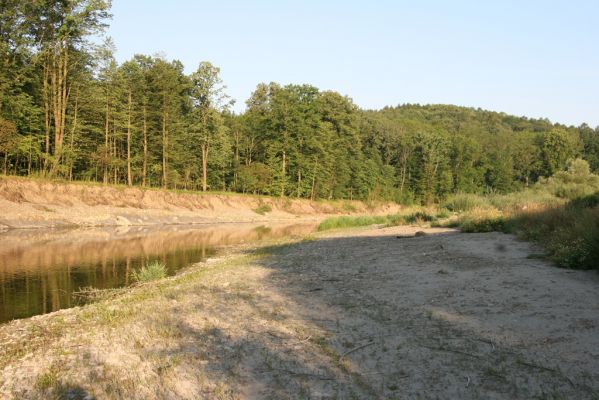 Kladeruby, 19.7.2017
Meandry Bečvy.
Keywords: Kladeruby řeka Bečva