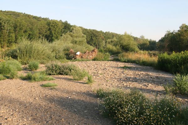 Kladeruby, 19.7.2017
Meandry Bečvy.
Klíčová slova: Kladeruby řeka Bečva