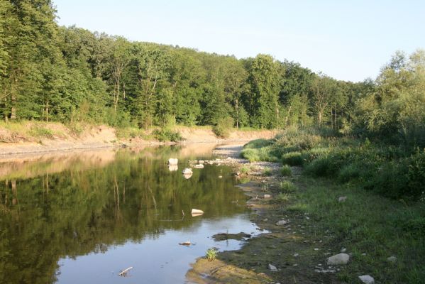 Kladeruby, 19.7.2017
Meandry Bečvy.
Schlüsselwörter: Kladeruby řeka Bečva