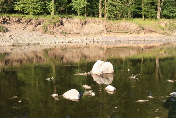 Kladeruby, 19.7.2017
Meandry Bečvy.
Klíčová slova: Kladeruby řeka Bečva