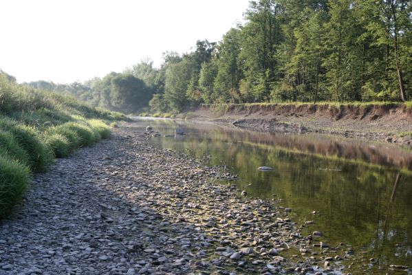 Kladeruby, 19.7.2017
Meandry Bečvy.
Klíčová slova: Kladeruby řeka Bečva