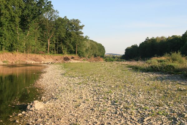 Kladeruby, 19.7.2017
Meandry Bečvy.
Schlüsselwörter: Kladeruby řeka Bečva