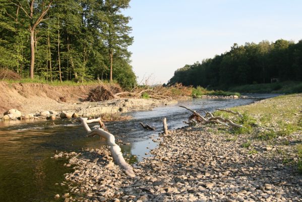 Kladeruby, 19.7.2017
Meandry Bečvy.
Klíčová slova: Kladeruby řeka Bečva