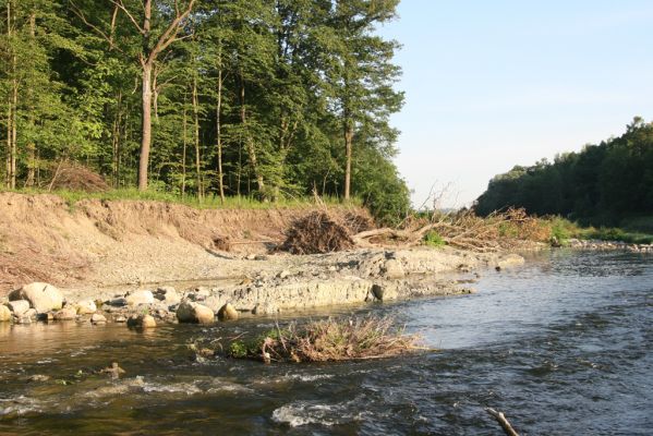 Kladeruby, 19.7.2017
Meandry Bečvy.
Klíčová slova: Kladeruby řeka Bečva